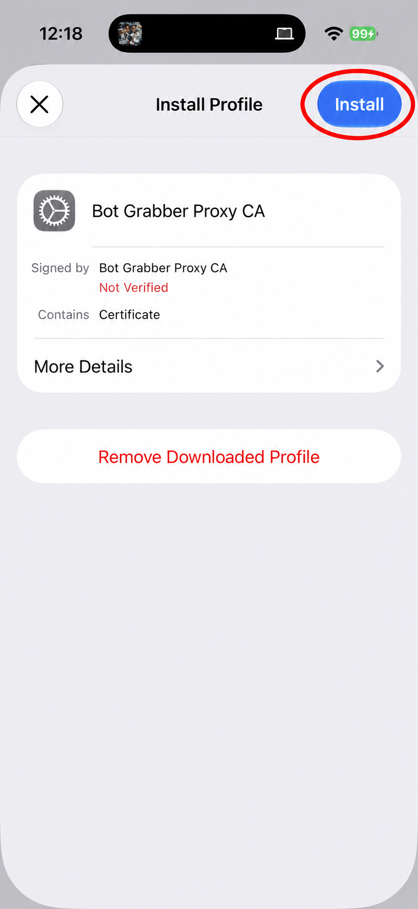 iPhone certificate installation settings