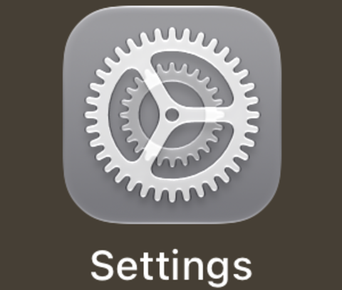iPhone Home Screen showing the Settings app icon